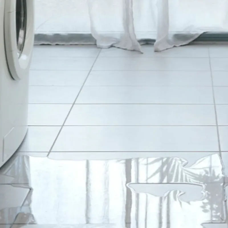 Appliance Leak Cleanup in Jefferson, TX