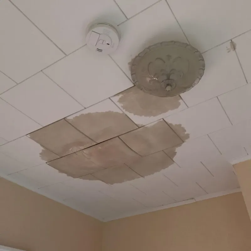 Ceiling Water Damage Repair in Jefferson, TX