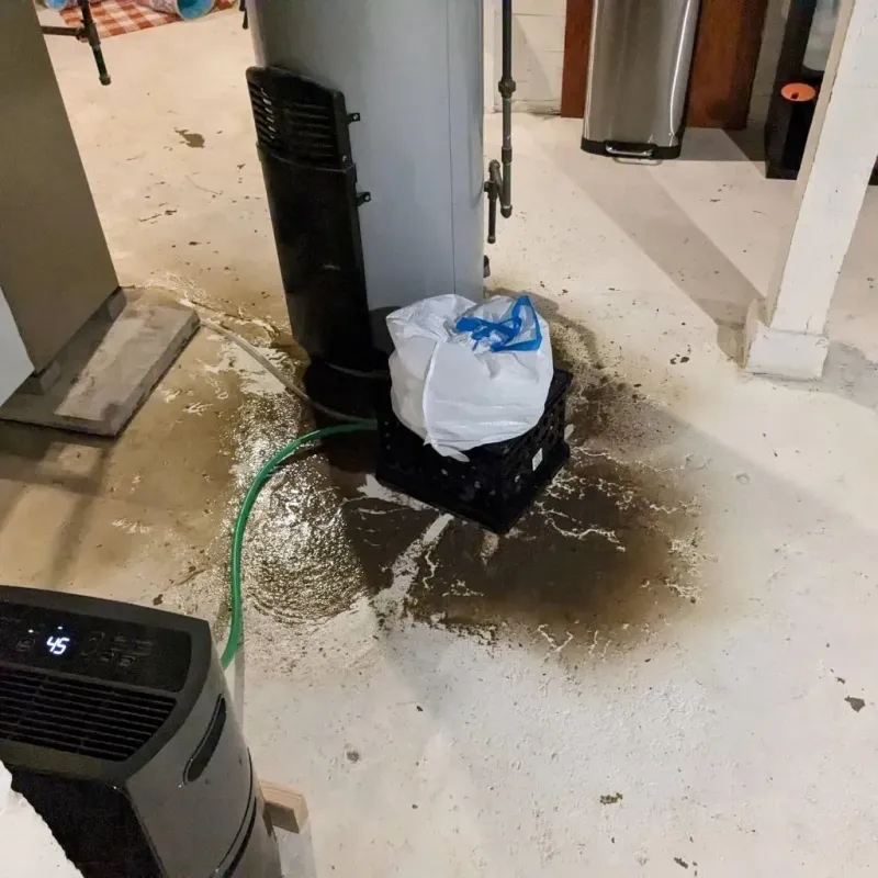 Sewage Backup Cleanup Service in Jefferson, TX